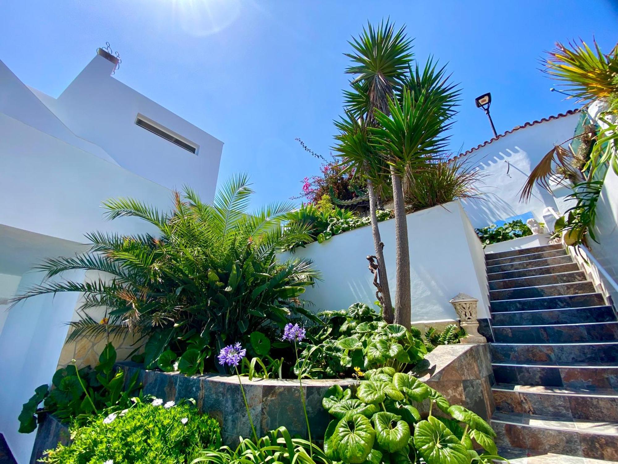 Villa Oasis La Paz - Pelinor Studio - Adults Only Puerto de la Cruz  Exterior photo