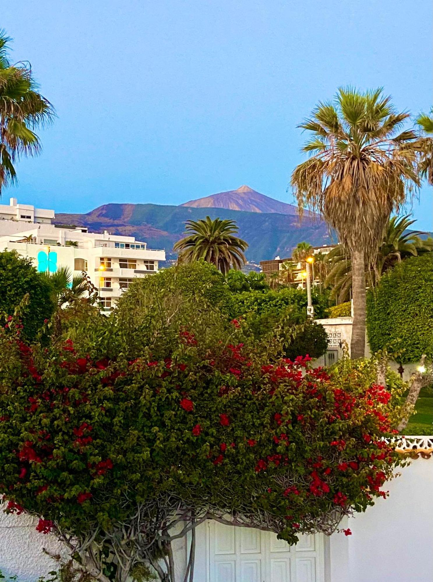 Villa Oasis La Paz - Pelinor Studio - Adults Only Puerto de la Cruz  Exterior photo