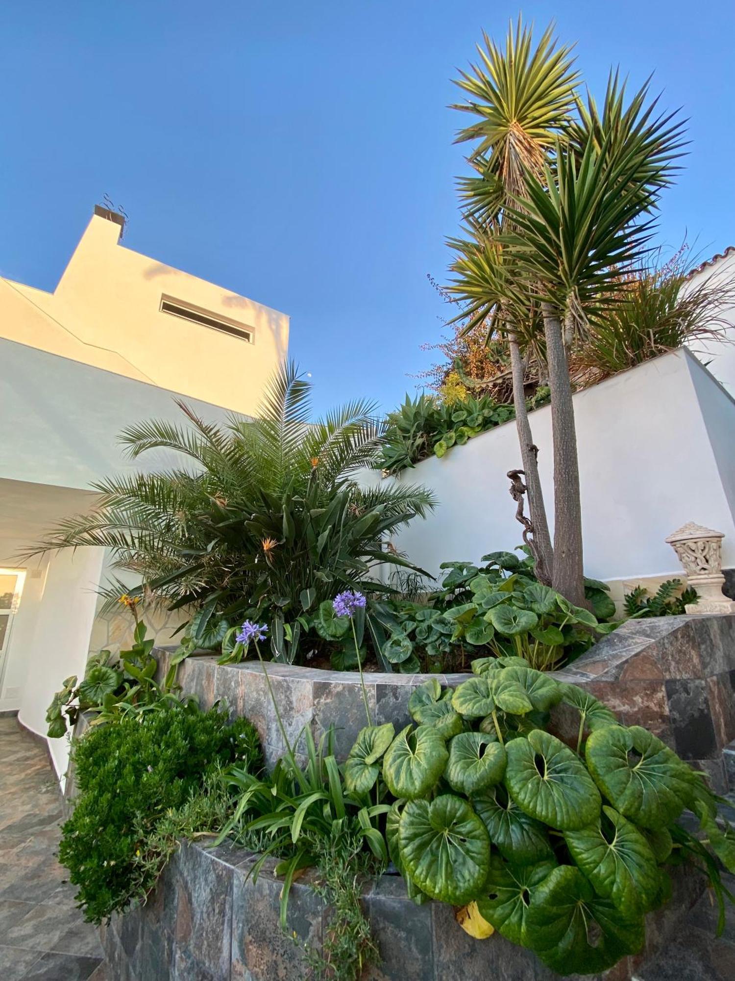 Villa Oasis La Paz - Pelinor Studio - Adults Only Puerto de la Cruz  Exterior photo